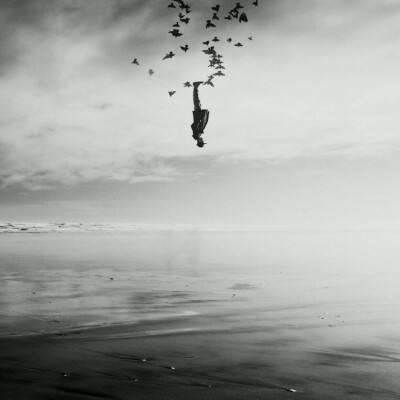 博鱼boyu体育官方网站