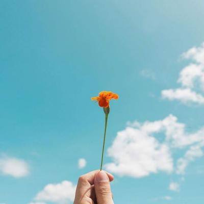 香港资料大全下载手机版